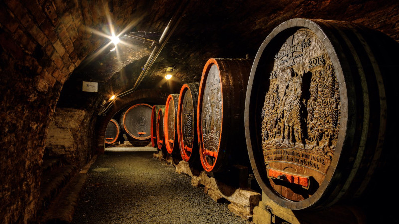 Templar cellars in Cejkovice